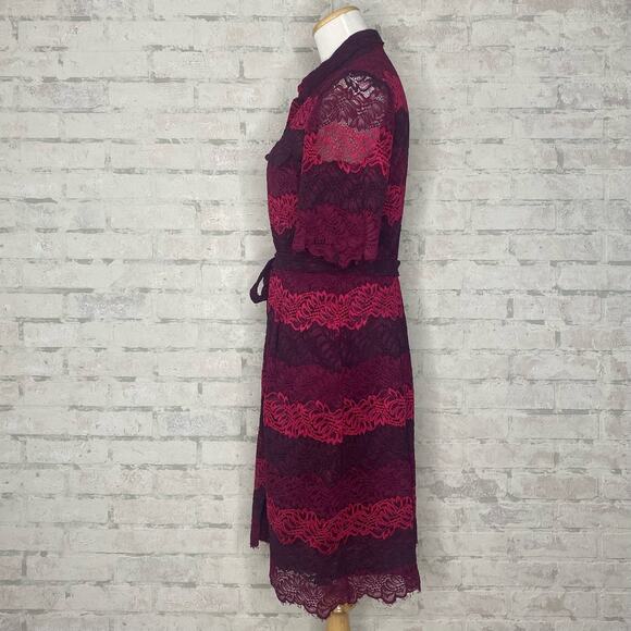 Banana Republic | Burgundy Purple Stripe Button Down Lace Dress - Picture 5 of 7